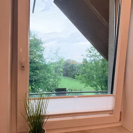 Apartman Urlaub In Kaernten - Haus Gostenig *
